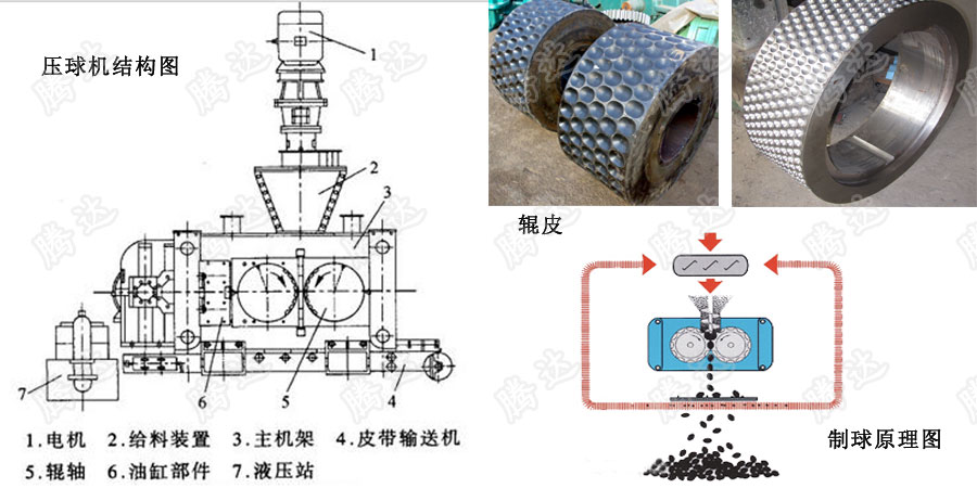環(huán)保壓球機(jī)結(jié)構(gòu)示意圖 環(huán)保壓球機(jī)結(jié)構(gòu)示意圖